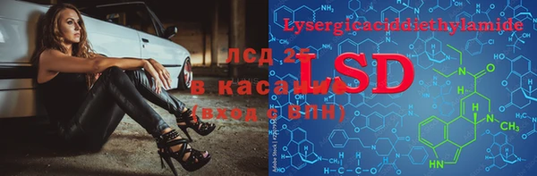 стафф Алексин