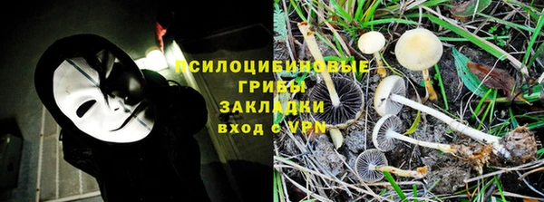 стафф Алексин