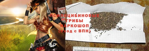 стафф Алексин