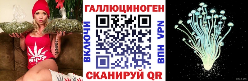 даркнет сайт  Заинск  Псилоцибиновые грибы Psilocybe 